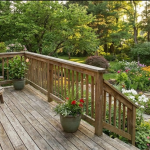 דילמת הדק: כיצד לבחור בין דק אורן לדק איפאה לגינה הישראלית?