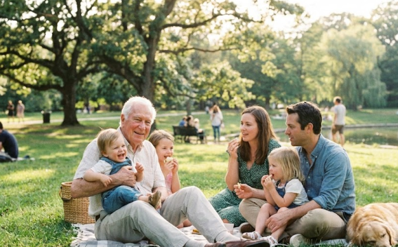 הדרך הבטוחה למימוש זכויות מול הביורוקרטיה הישראלית